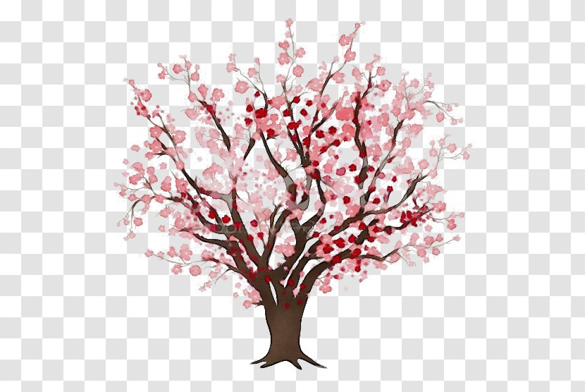 Cherry Blossom Transparent PNG