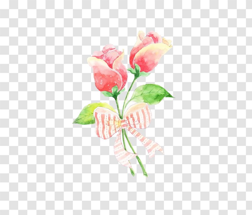 Garden Roses Flower - Rose Transparent PNG