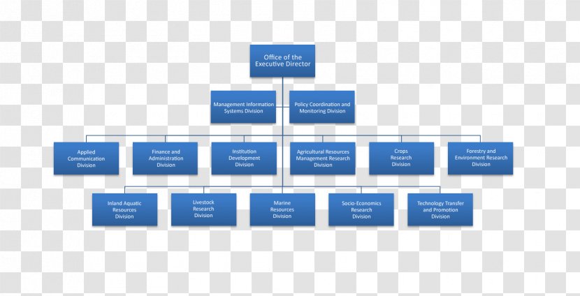 Organizational Chart Structure - Diagram - Vietnam Construction Transparent PNG