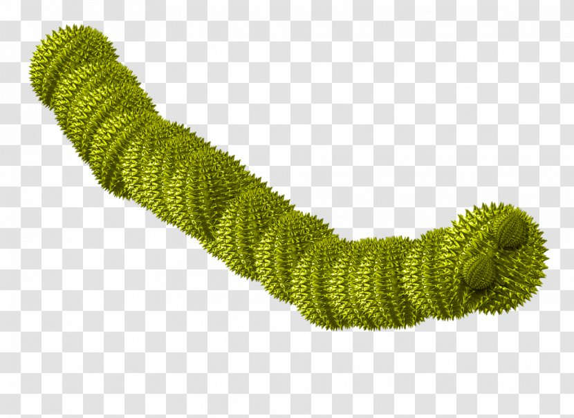 Computer Worm Virus Malware Spyware Trojan Horse - Wool - Caterpillar Transparent PNG