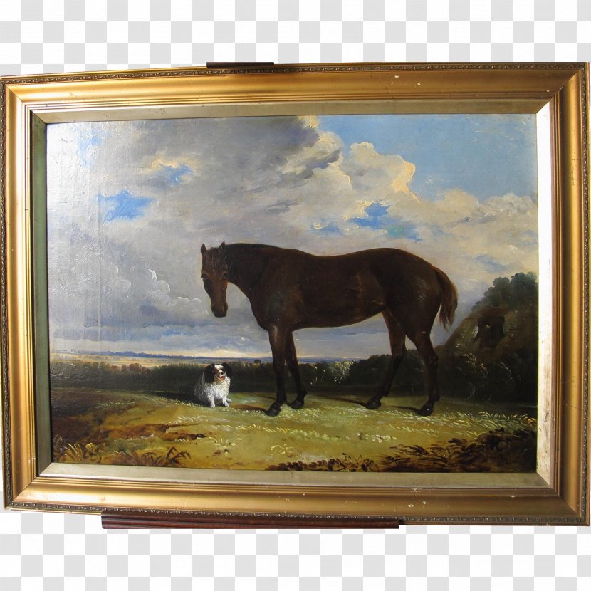 Stallion Mustang Mare Painting Picture Frames Transparent PNG