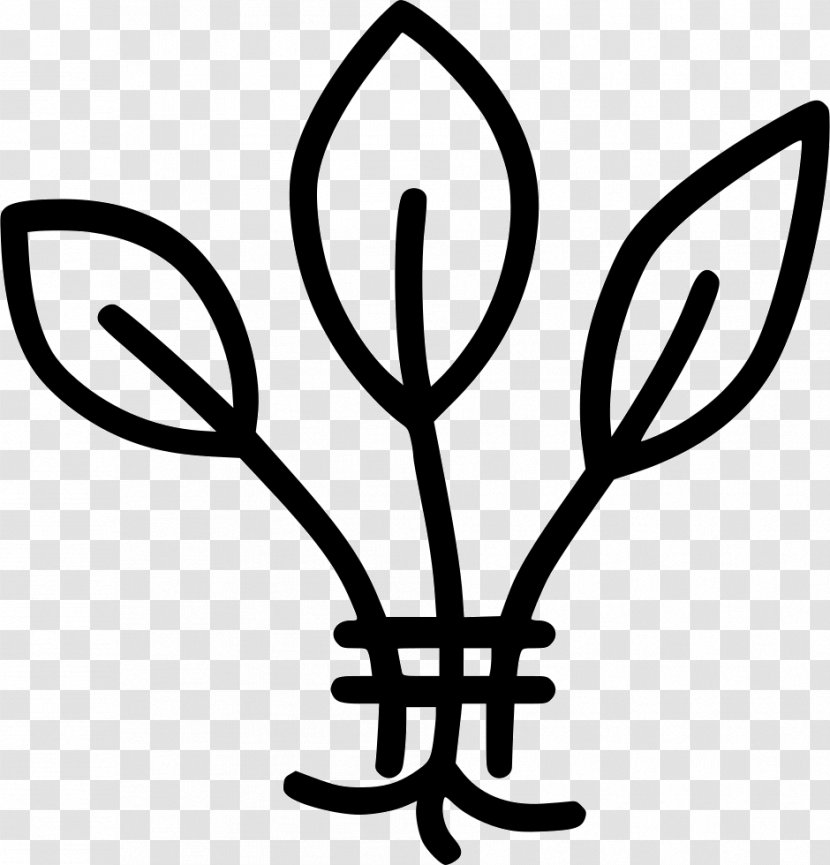 Leaf Clip Art Flower Plant Stem Line - Adduktion Transparent PNG