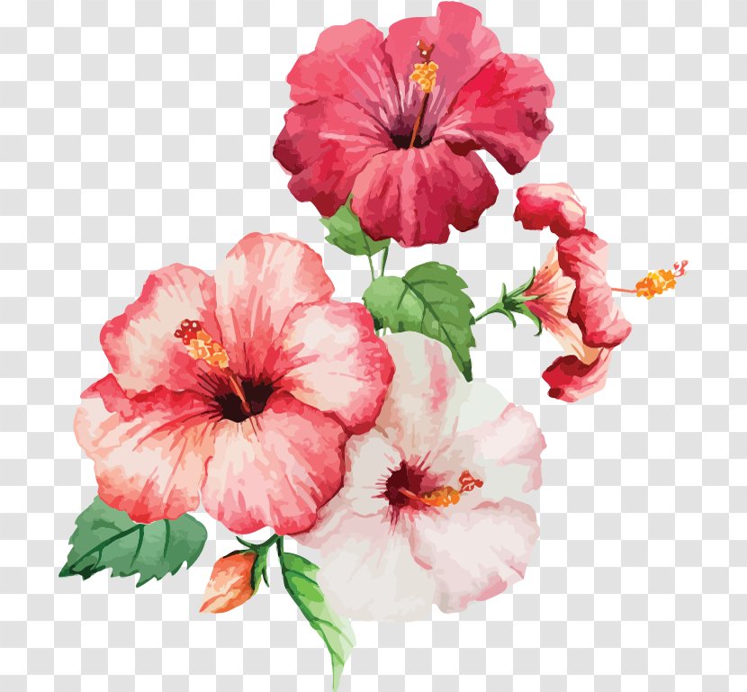 Watercolor: Flowers Watercolour Watercolor Painting Drawing - Flower - Our Mission Transparent PNG