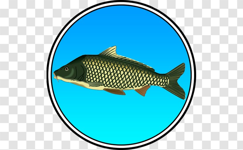 True Fishing (key) Pro Pilkki 2 - Carp - Ice Game Skate Madness (3D Racing Game) Ultimate SimulatorFishing Transparent PNG