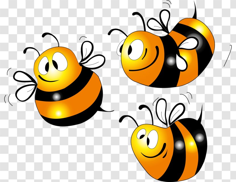 Bee Insect Drawing Clip Art Transparent PNG