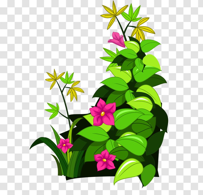 Drawing Cartoon - Branch - Flowers And Green Grass Transparent PNG