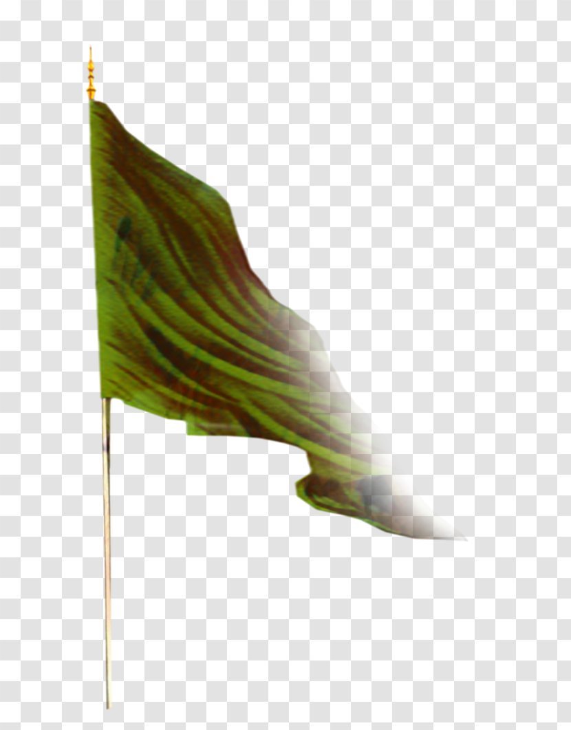 Green Leaf Background - Flag Plant Transparent PNG