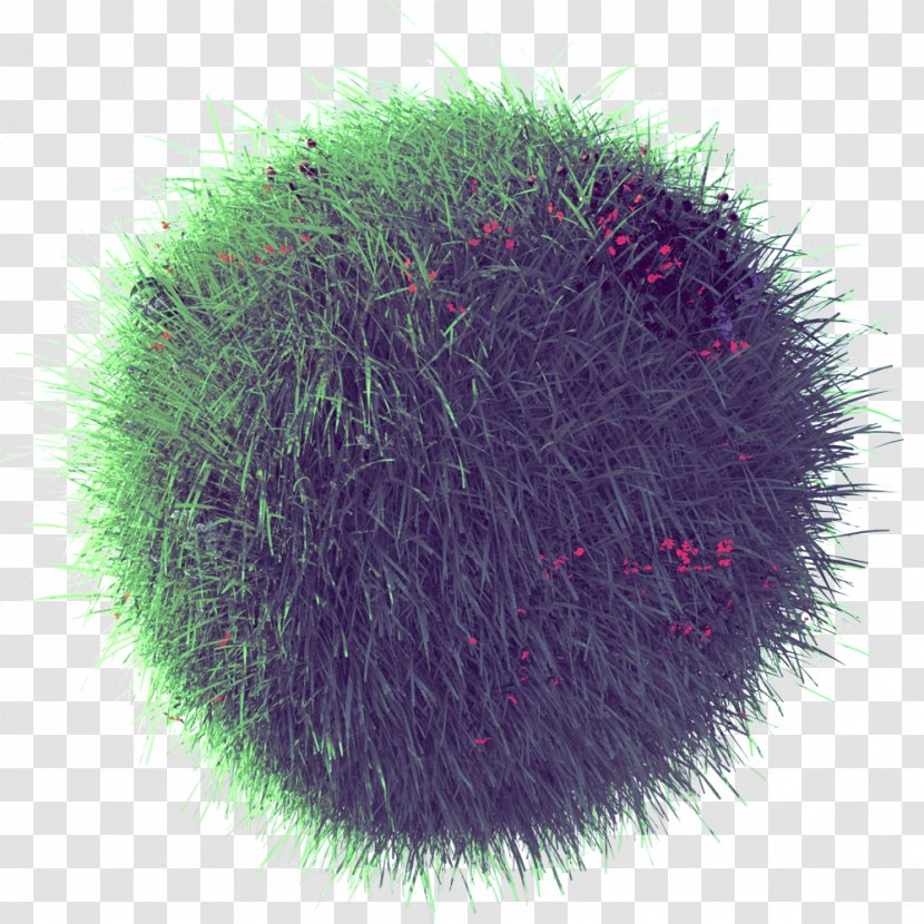 Fur - Lovely Grass Transparent PNG