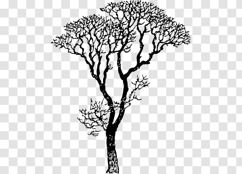 Wall Decal Sticker Tree Branch - Woody Plant Transparent PNG
