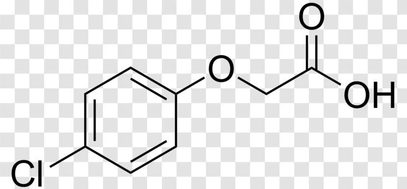 Caffeic Acid P-Coumaric Phloretic - Pcoumaric Transparent PNG