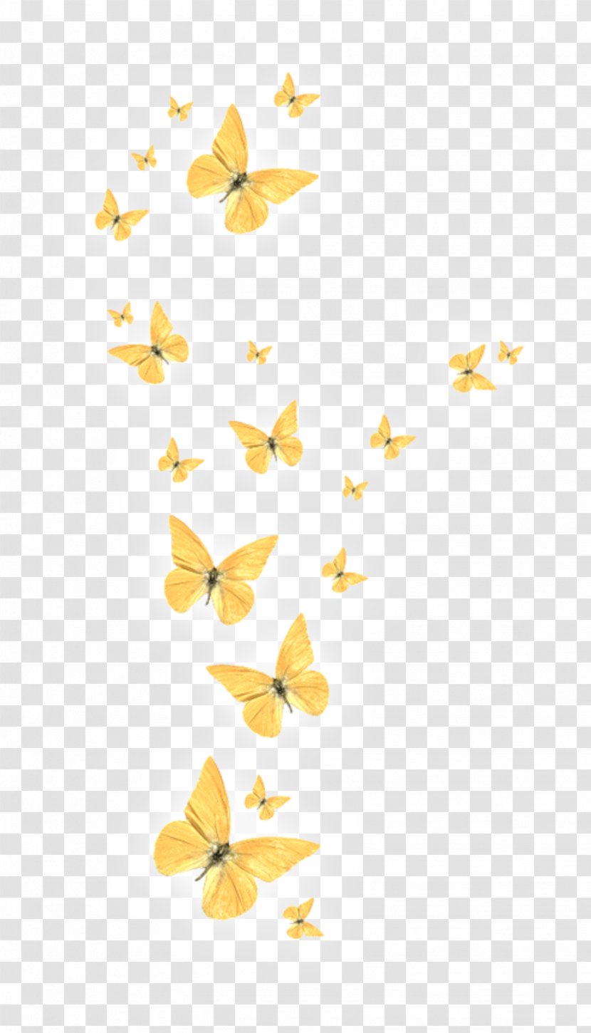 Butterfly Clip Art Image Desktop Wallpaper - Invertebrate Transparent PNG