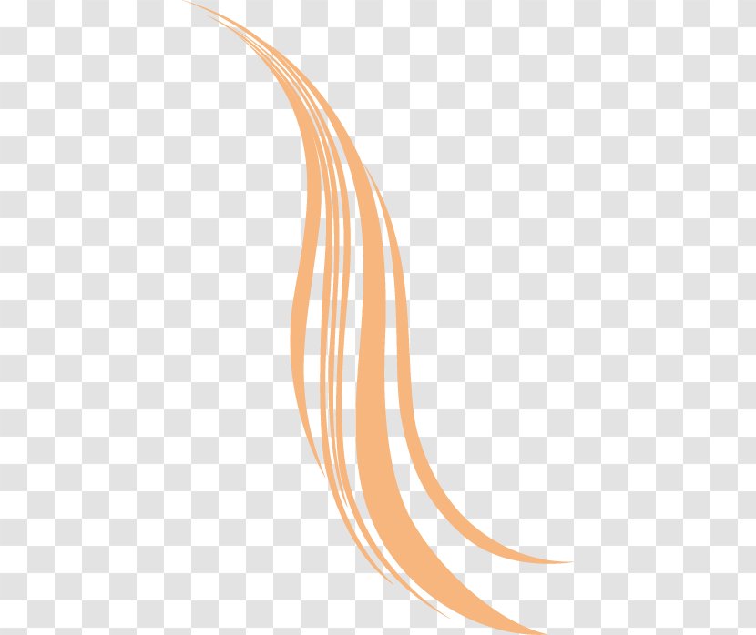 Illustration - Orange - Line,pattern Transparent PNG