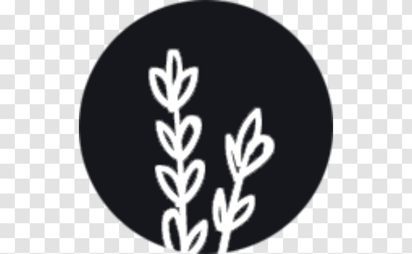 Plant White Font - Black And Transparent PNG