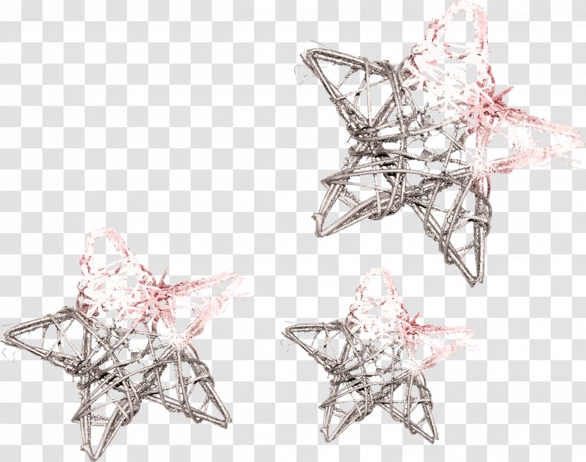 Star Picture Frames Winter Clip Art - Branch - 5 Transparent PNG