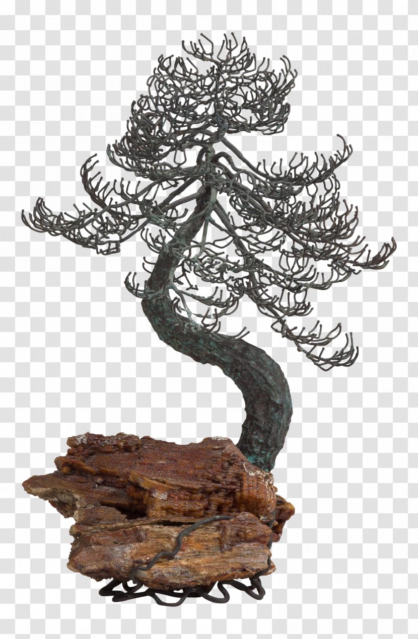 Bonsai Bronze Tree Wood Sculpture Transparent PNG