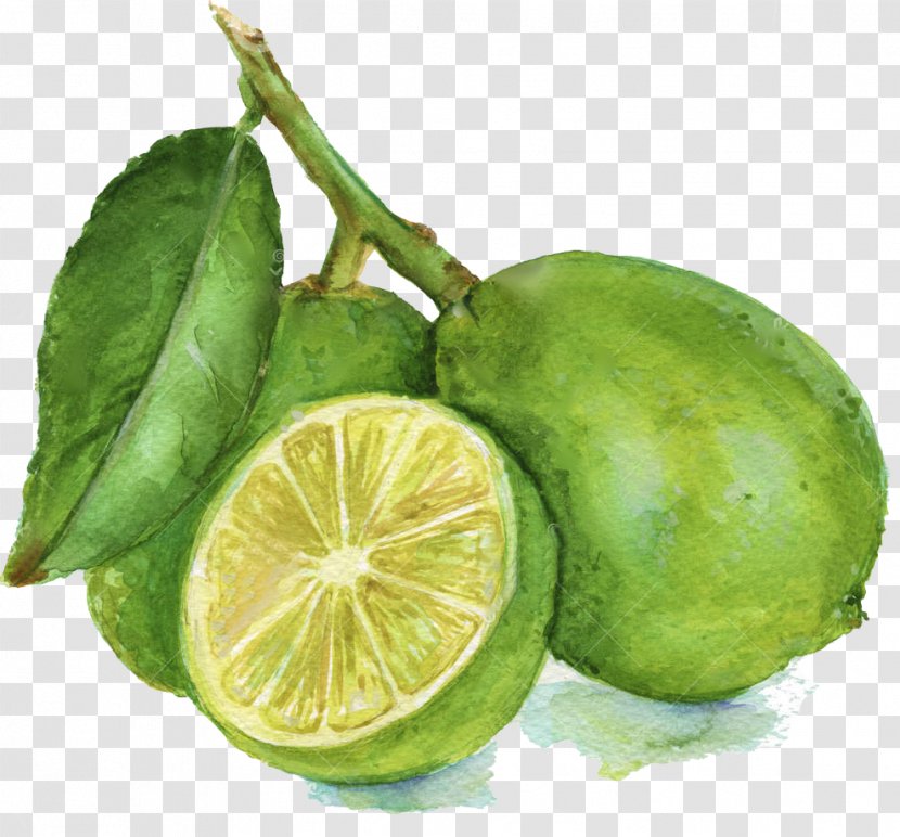 Lemon-lime Drink Persian Lime Key - Lemon Transparent PNG