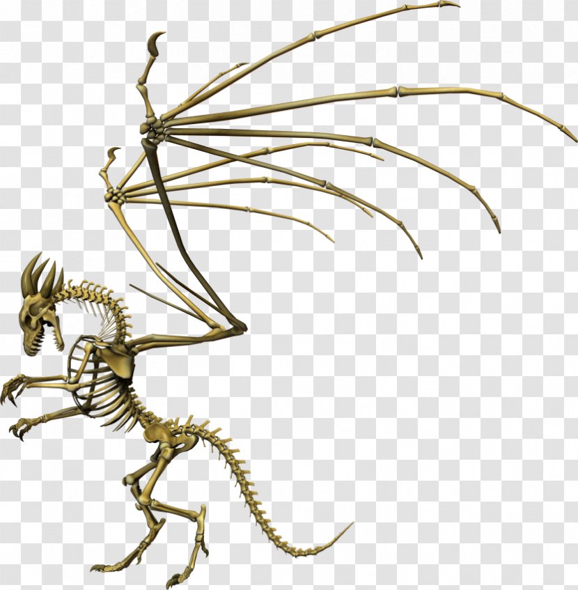 Dragon Skeleton Insect Animation - Character Transparent PNG