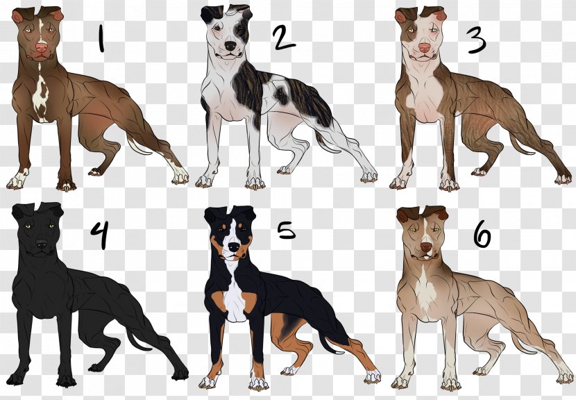 American Pit Bull Terrier Bully Whippet - Piebald - Pitbull Transparent PNG