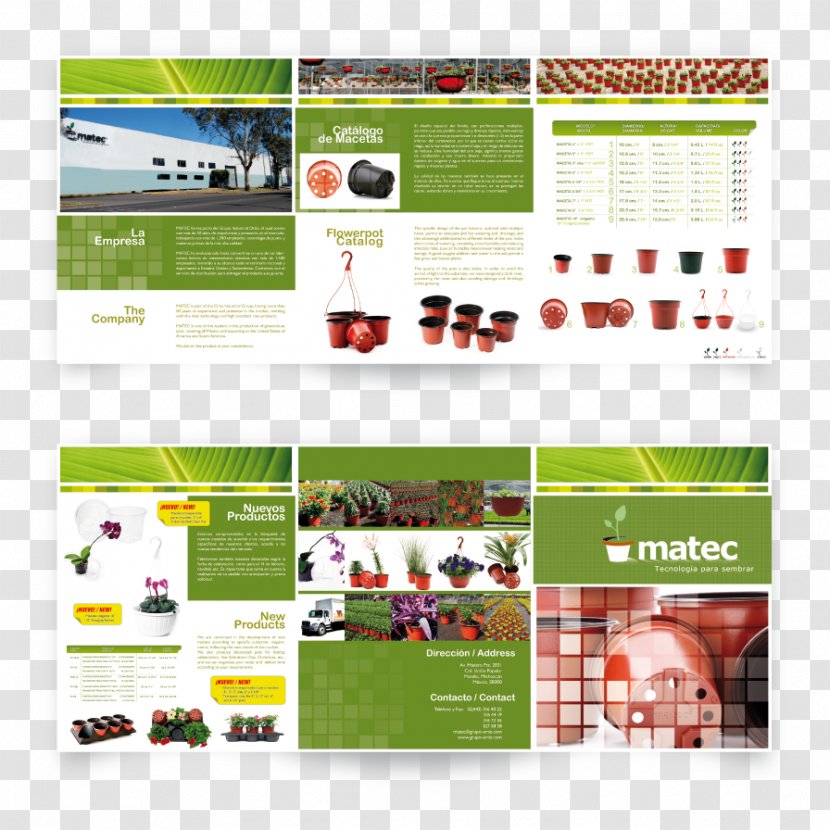 Graphic Design Web Page Product Henning Municipal Airport Display Advertising - Package Transparent PNG