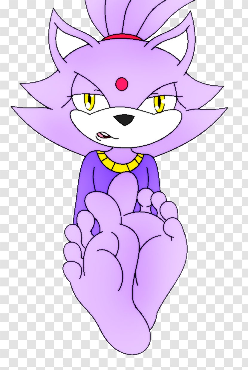Whiskers Amy Rose Foot Blaze The Cat Sole - Frame Transparent PNG