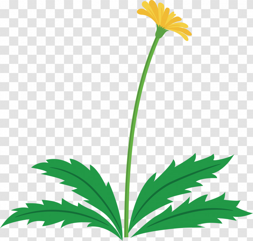 Dandelion Flower Easter Day Flower Spring Flower Transparent PNG