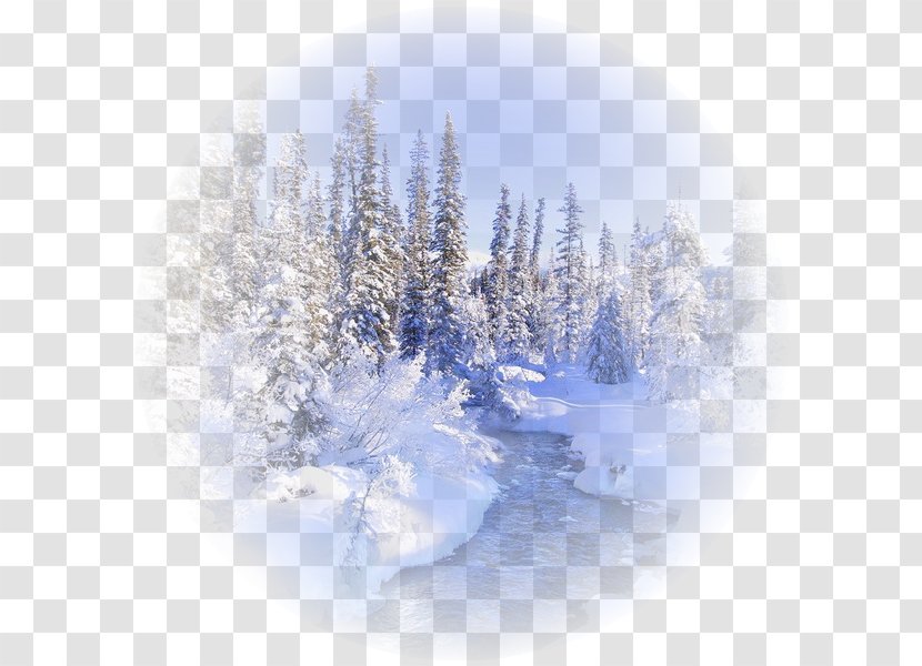 Southern Hemisphere Landscape Winter Equinox Northern - Pine Family Transparent PNG