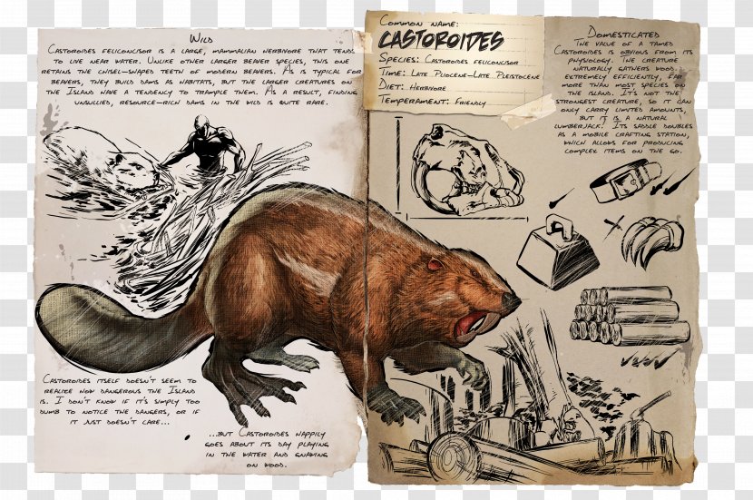 ARK: Survival Evolved Beaver Castoroides Mammal Dinosaur - Dire Wolf Transparent PNG