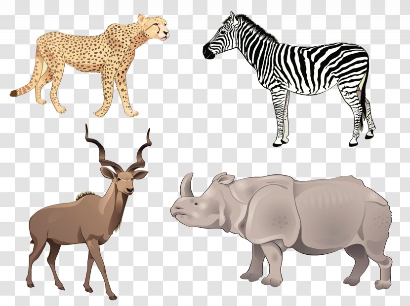 Africa Antelope Euclidean Vector Illustration - Cattle Like Mammal - African Grassland Animals Transparent PNG