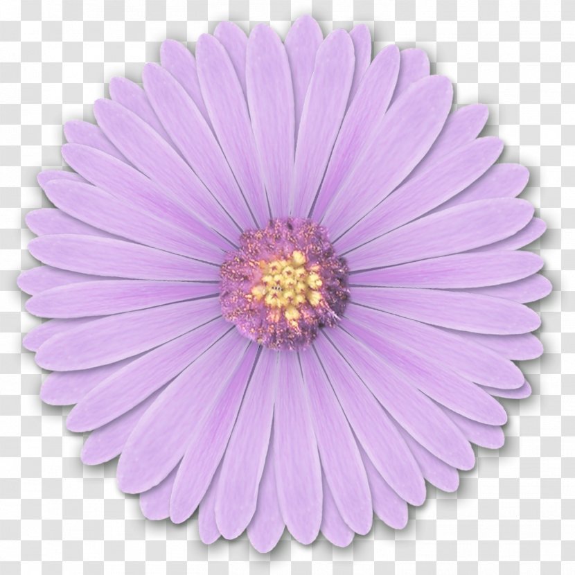 Light Flower Desktop Wallpaper Purple - Res Flowers By Hanabell1 D6l6mwr Transparent PNG