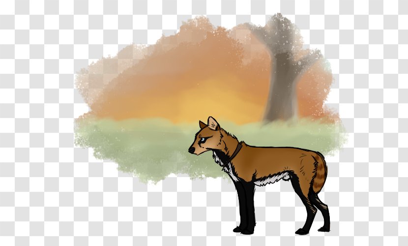 Dog Breed Dingo Red Fox Cartoon - Organism Transparent PNG