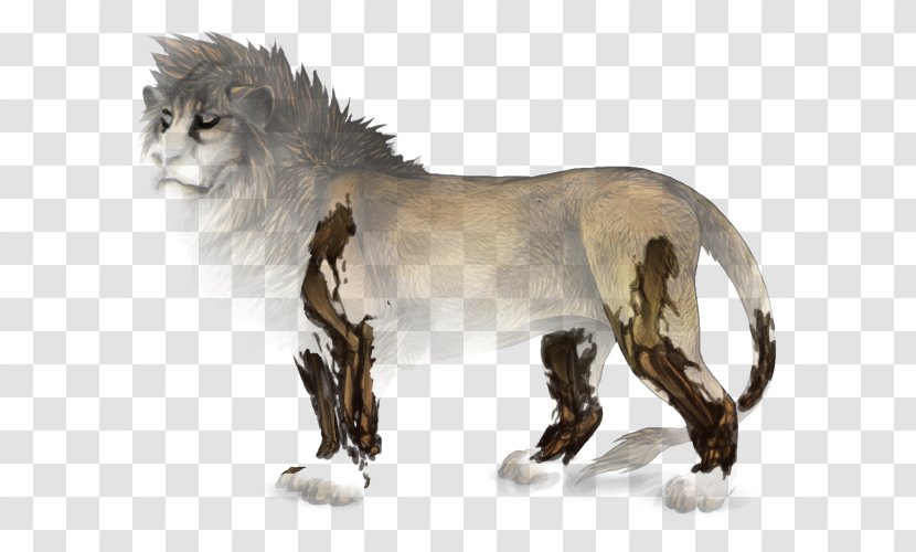 Lion Wildebeest Mane Big Cat Animal - Fur Transparent PNG