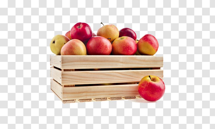 Apple Organic Food Vegetable Fruit Auglis - Red Model Transparent PNG