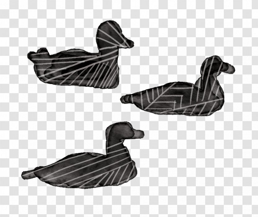 Duck Goose Feather Beak - Bird Transparent PNG