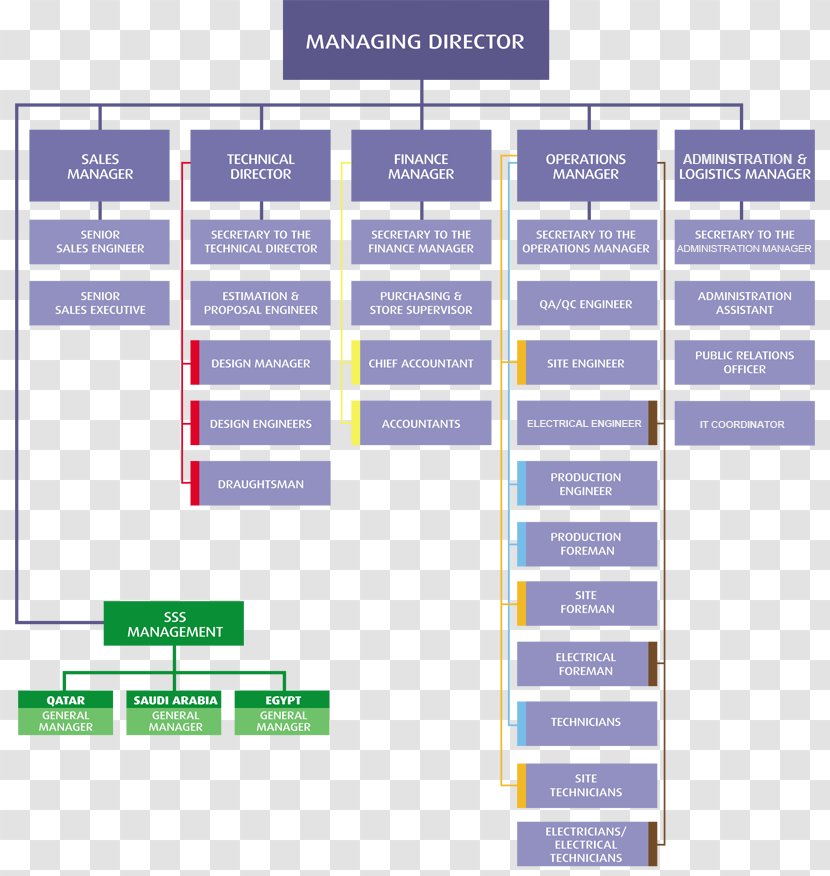 Organizational Structure Hierarchical Organization Management - Marketing - Business Transparent PNG