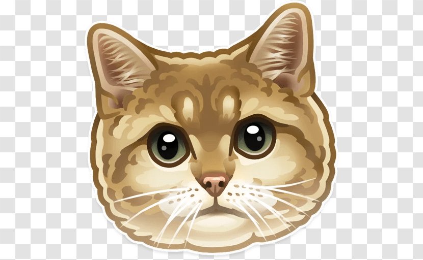 Kitten Whiskers Tabby Cat Sticker - Carnivoran Transparent PNG