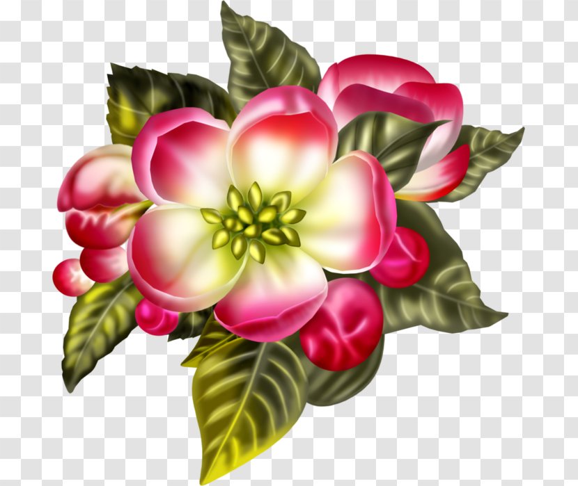 Floral Design Drawing Flower Clip Art - Magenta Transparent PNG