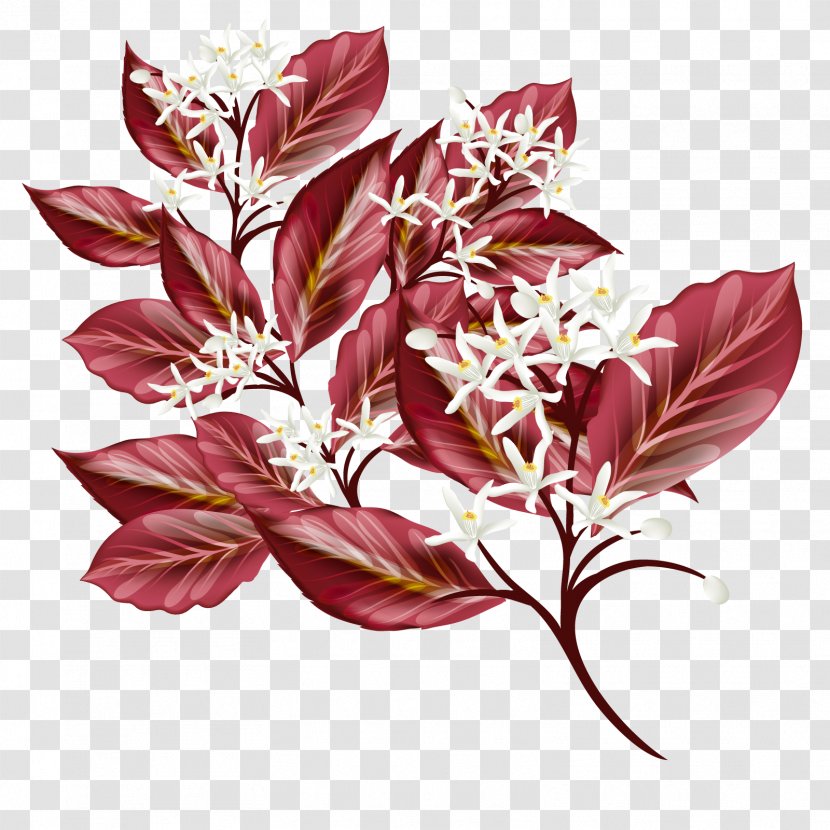 Vector Leaves And Flowers - Flower - Maple Leaf Transparent PNG