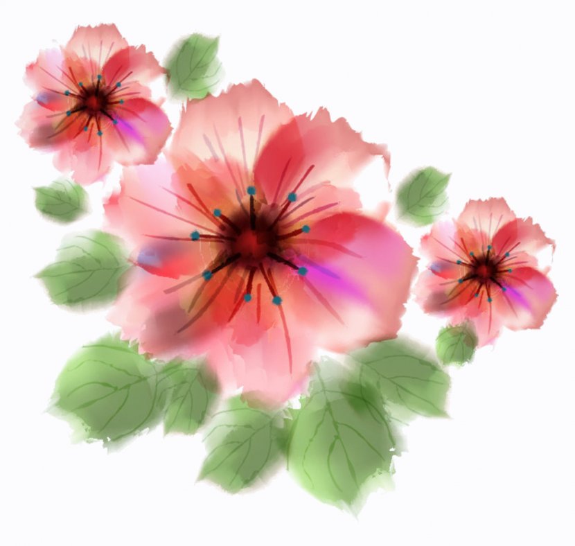 Watercolour Flowers Watercolor Painting Floral Design Transparent PNG