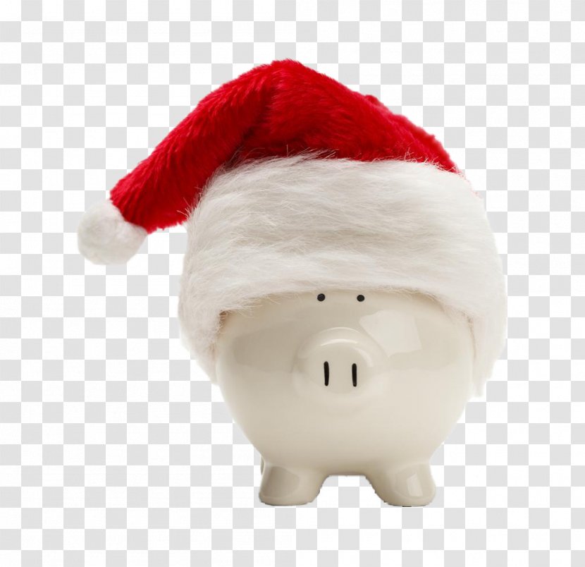 Santa Claus Domestic Pig Piggy Bank Christmas - With A Hat Transparent PNG