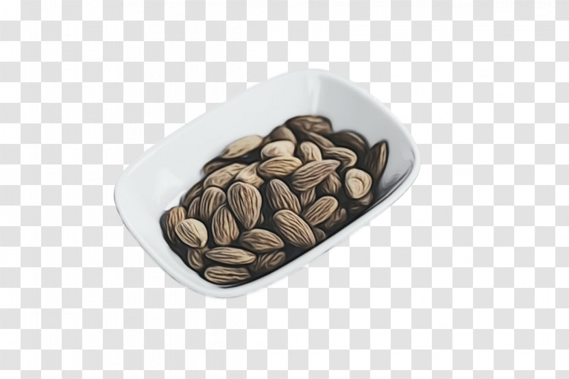 Superfood Nut Commodity Seed Nut Transparent PNG