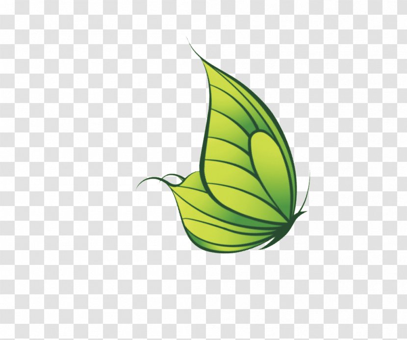 Green Butterfly - Invertebrate Transparent PNG