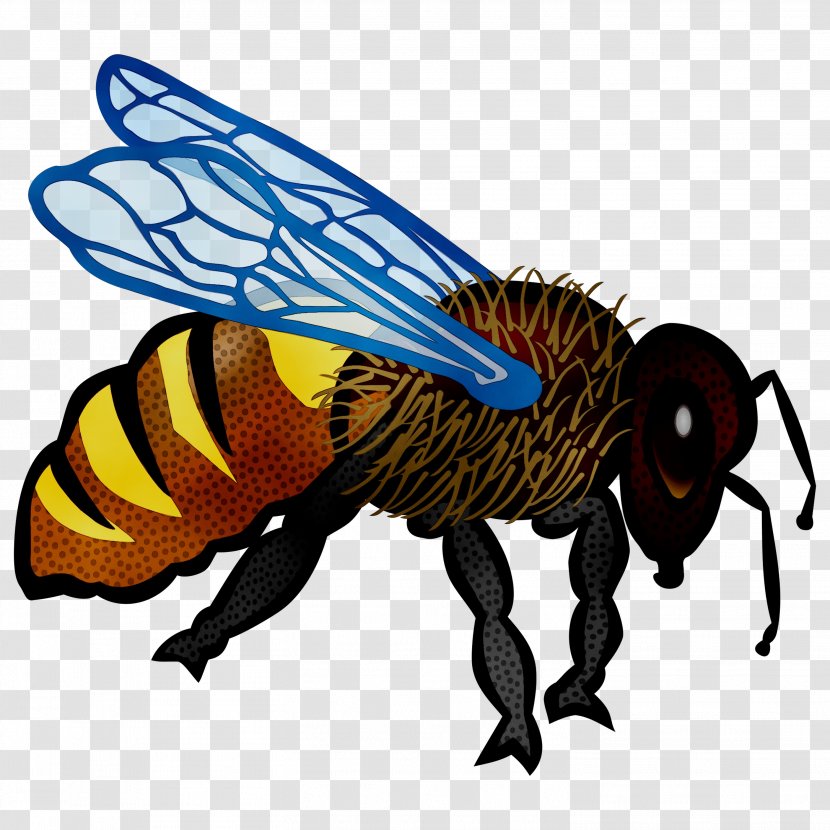 Honey Bee Clip Art Harvest - Wasp - Honeybee Transparent PNG