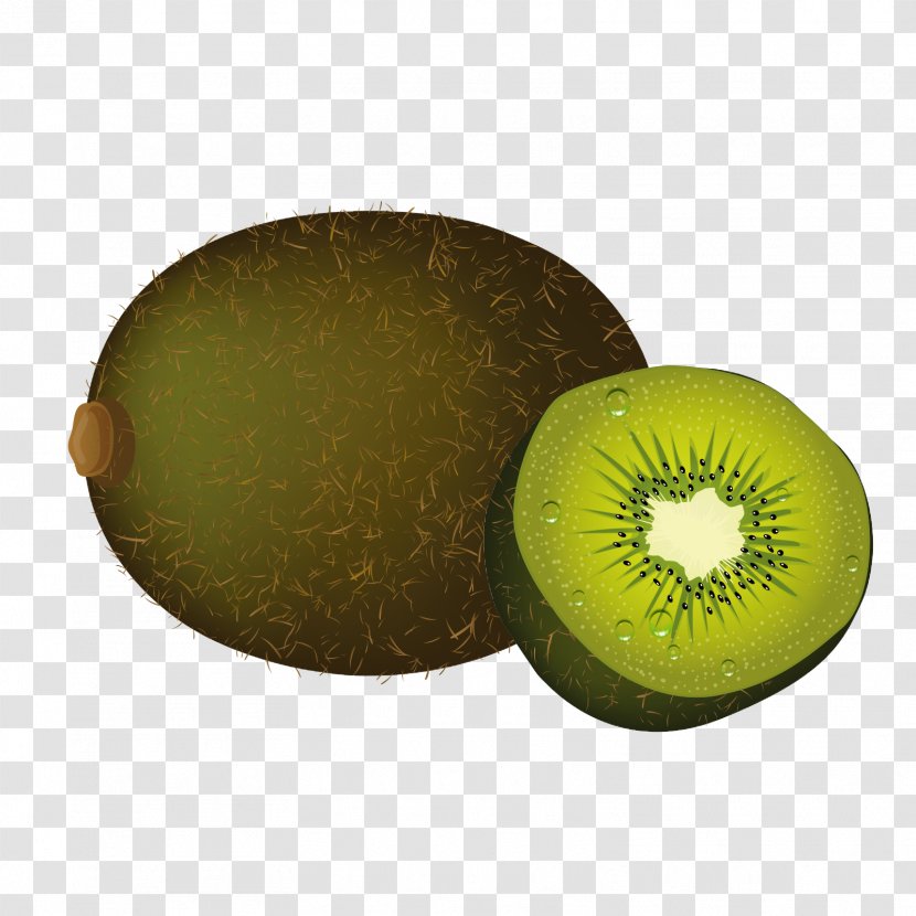 Kiwifruit Euclidean Vector - Tropical Fruit - Kiwi Slice Transparent PNG