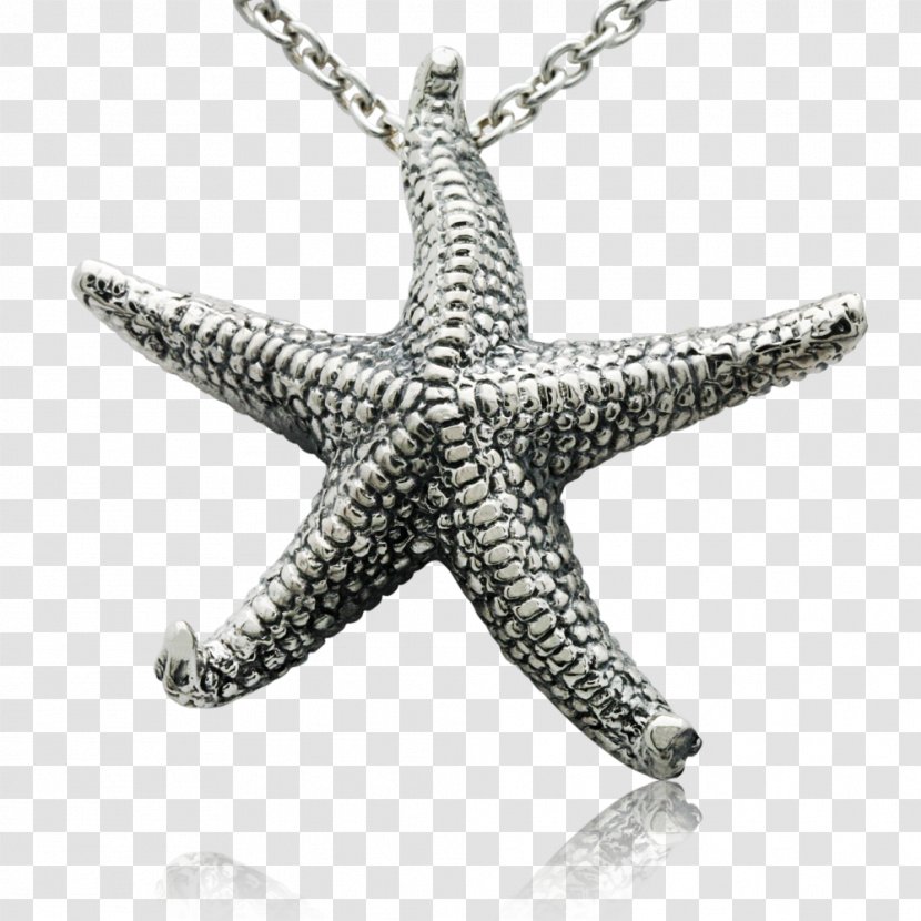 Jewellery Invertebrate Starfish Charms & Pendants Silver - Echinoderm - Star Ocean Transparent PNG