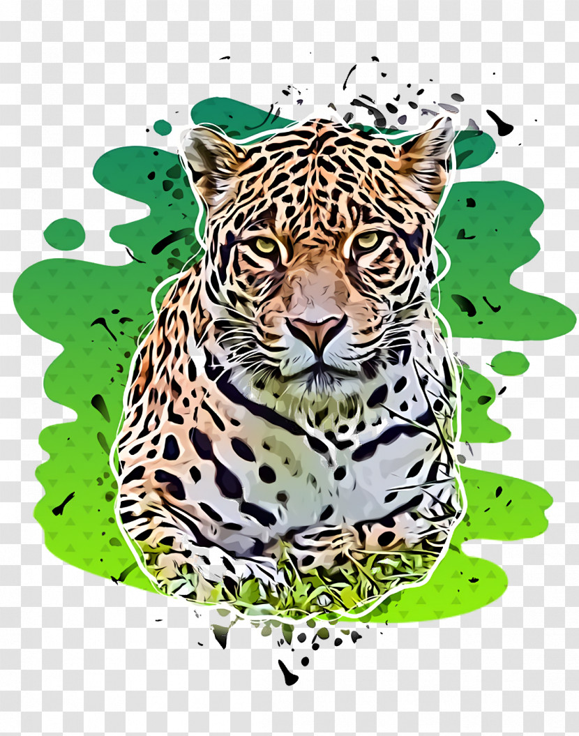 Leopard Tiger Cheetah Whiskers Snout Transparent PNG