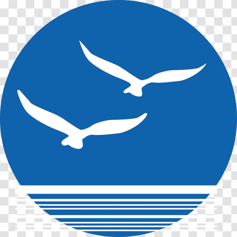 Bird Euclidean Vector - Pattern - Sea Gulls Clip Transparent PNG