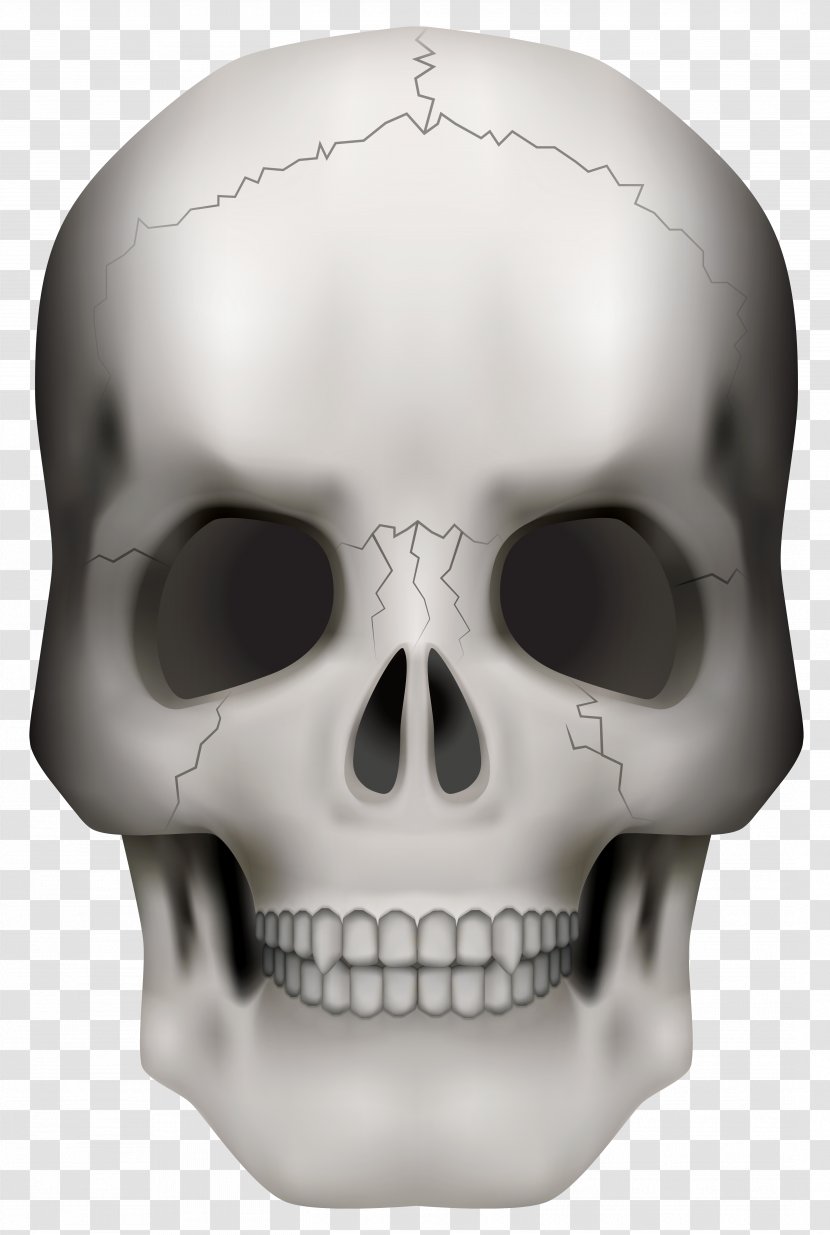Skull Skeleton Clip Art - Frame Cliparts Transparent PNG