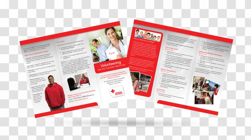 Advertising Brochure Graphic Design Flyer American Red Cross - Web - Template Transparent PNG