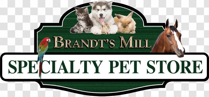 Horse Dog Brandt's Mill Pet Logo - Banner Transparent PNG
