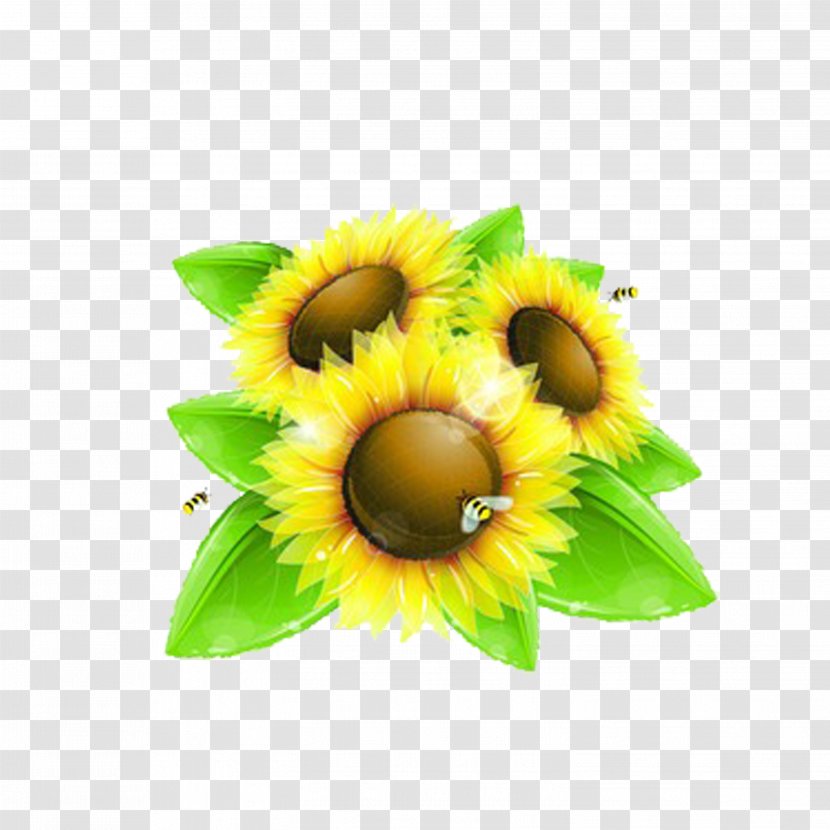 Common Sunflower Bee Clip Art - Sunflowers Transparent PNG